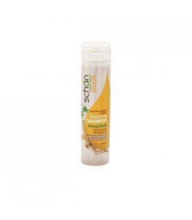 شامپو ترمیم کننده کراتین و جینسینگ شون مناسب موهای رنگ شده و آسیب دیده