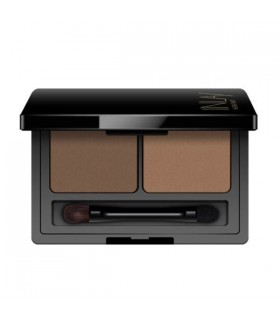 سایه ابرو 2 رنگ این لی